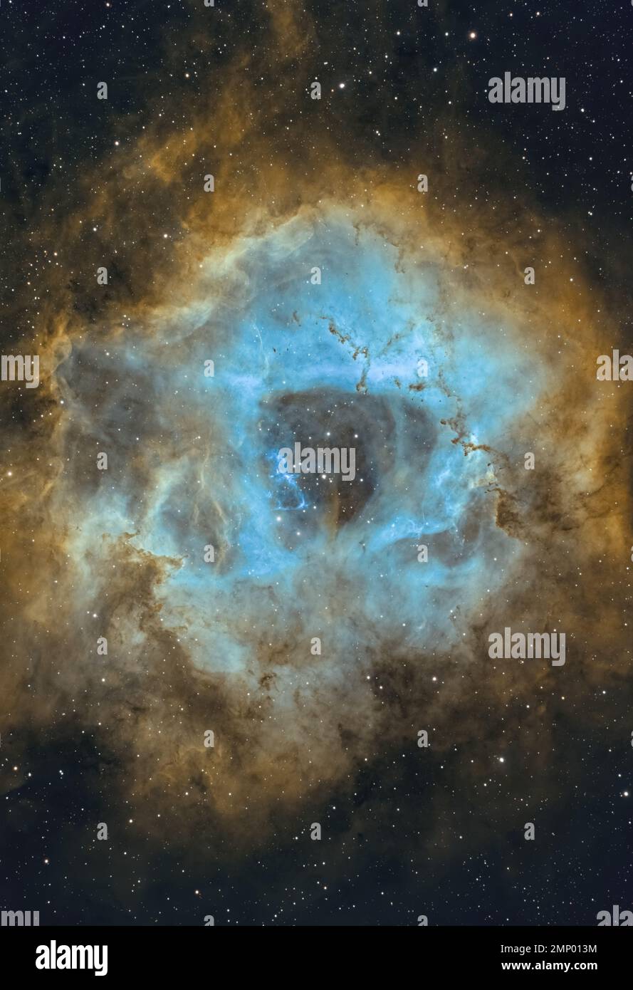 La Rosette Nebula (NGC 2244) photographiée dans la palette Hubble du Royaume-Uni Banque D'Images