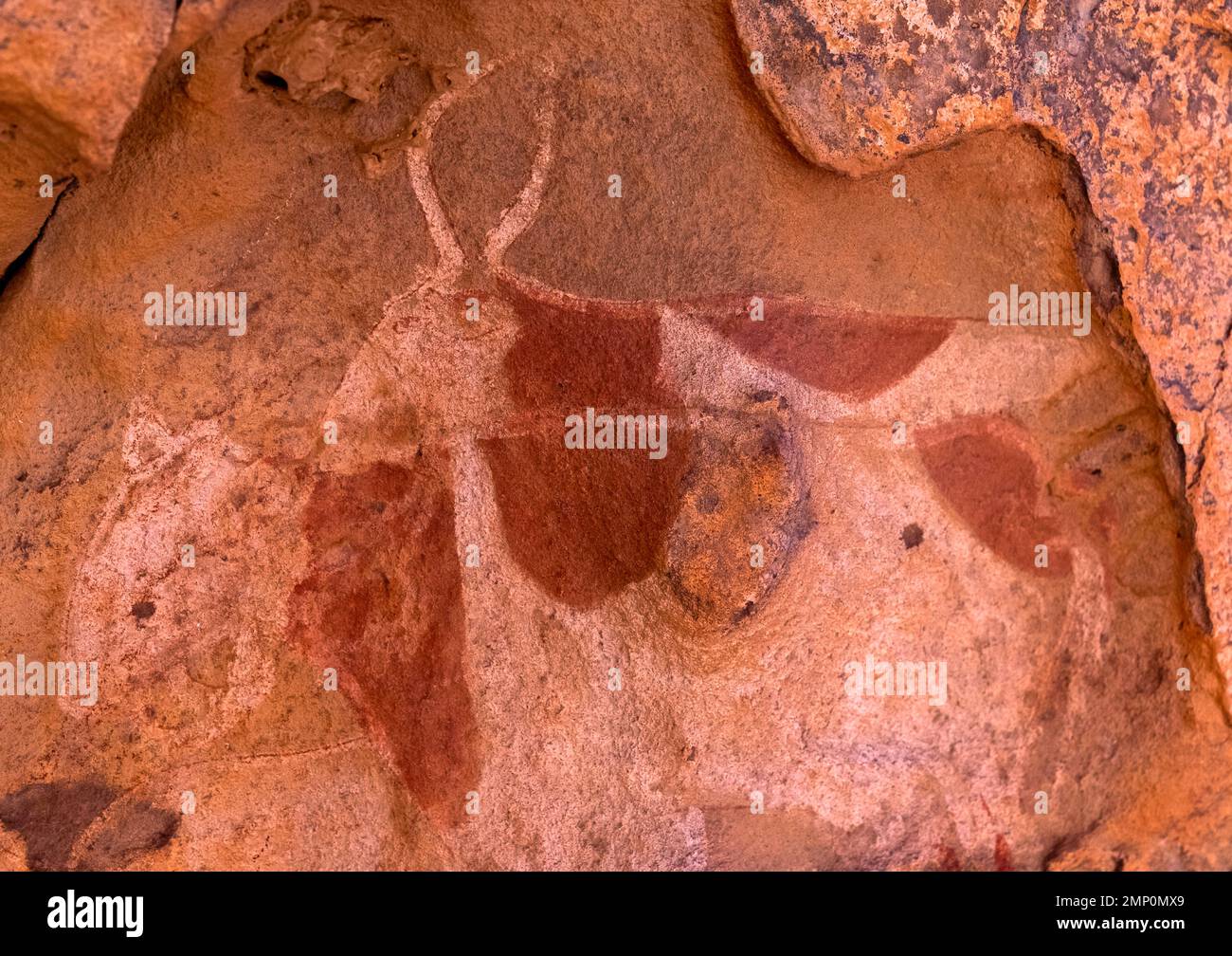 Peinture rock représentant des vaches, Parc national de Tassili n'Ajjer, Tadrarart Rouge, Algérie Banque D'Images