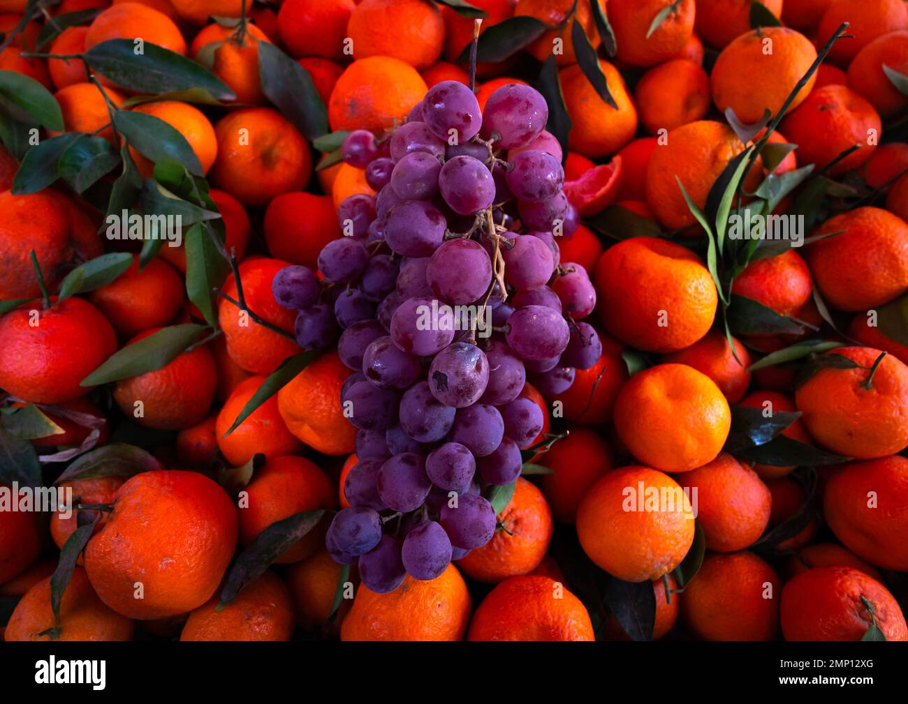 Raisins et clémentines en vente à Souk El Ghezel, Afrique du Nord, Constantine, Algérie Banque D'Images