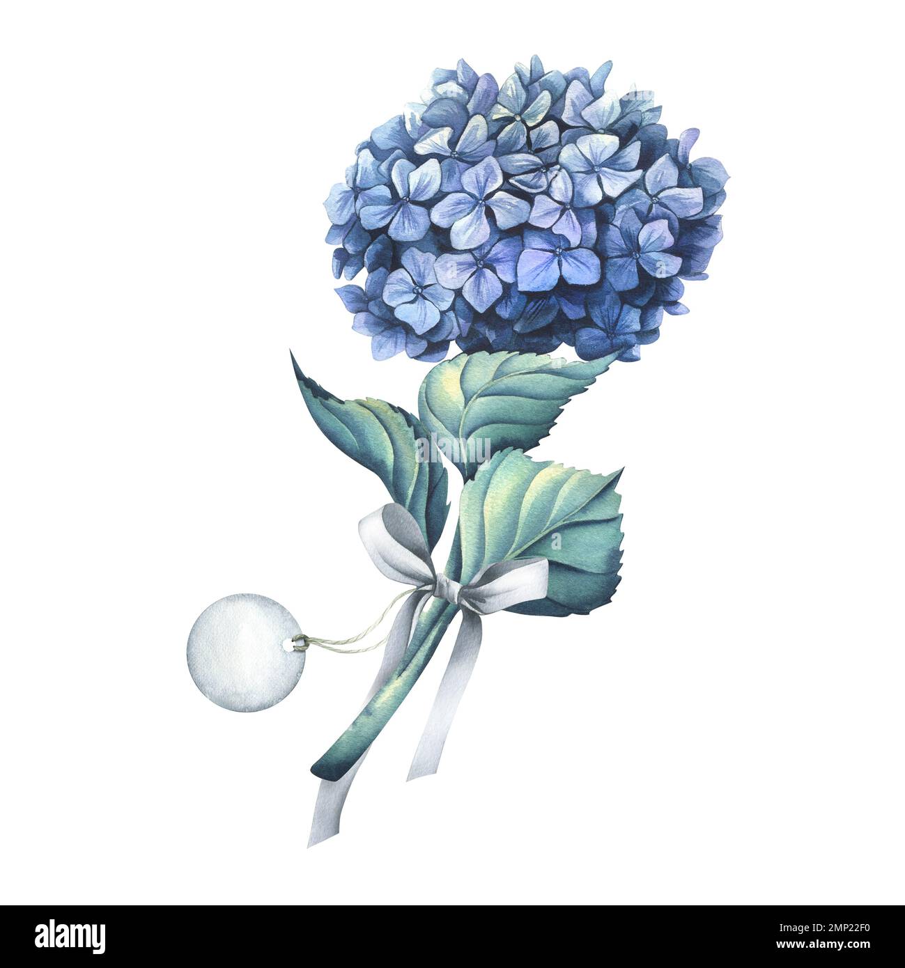 Fleur D'hortensia Bleu Avec Des Brindilles D'eucalyptus Dans Un Arrosoir En  Métal Avec Une étiquette Illustration à L'aquarelle Composition De La  Collection De Fleurs De Mariage Pour La Décoration Et Le Design