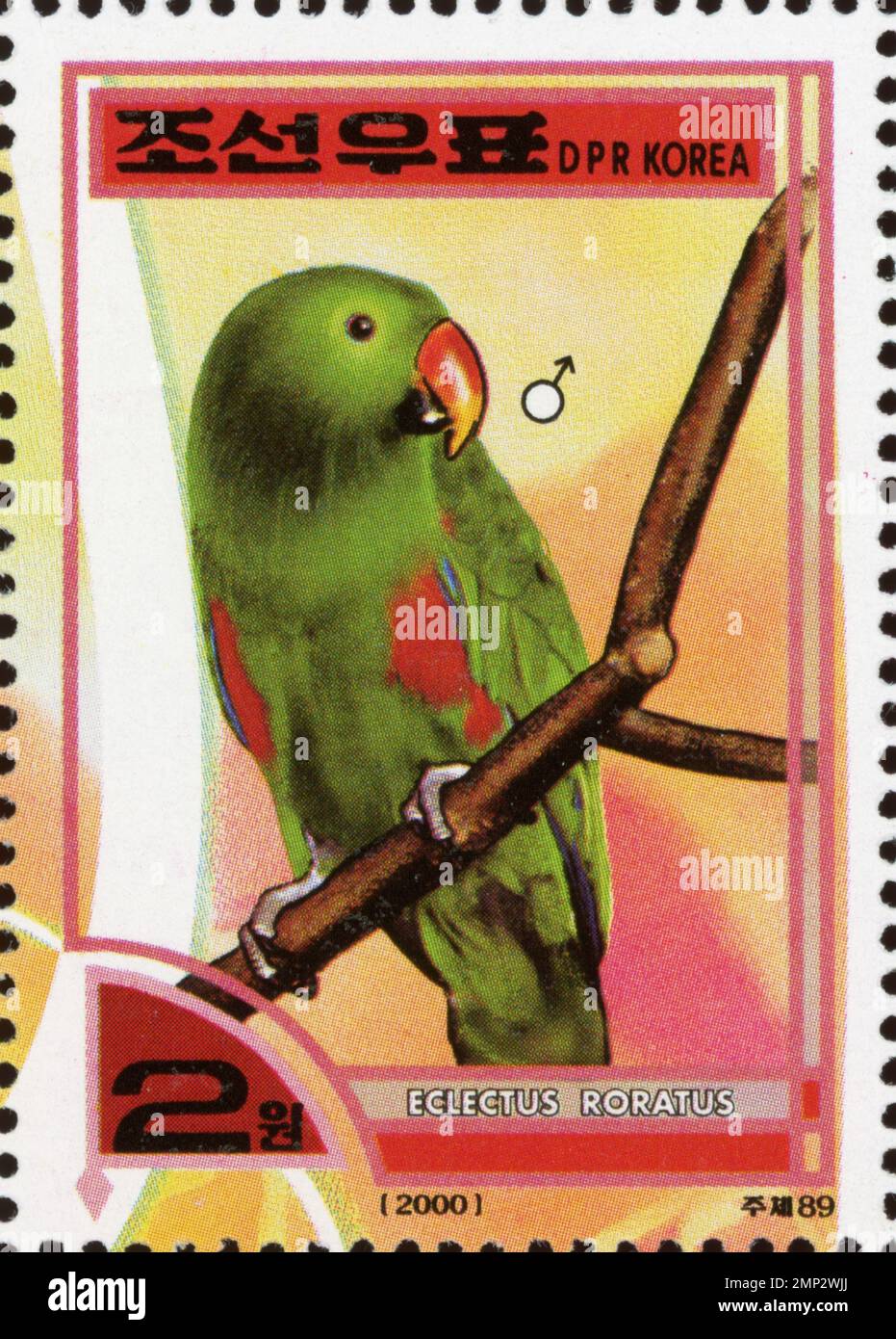 Timbre-poste nord-coréen vintage de 2000 représentant un perroquet mâle Eclectus roratus perché sur une branche. Banque D'Images