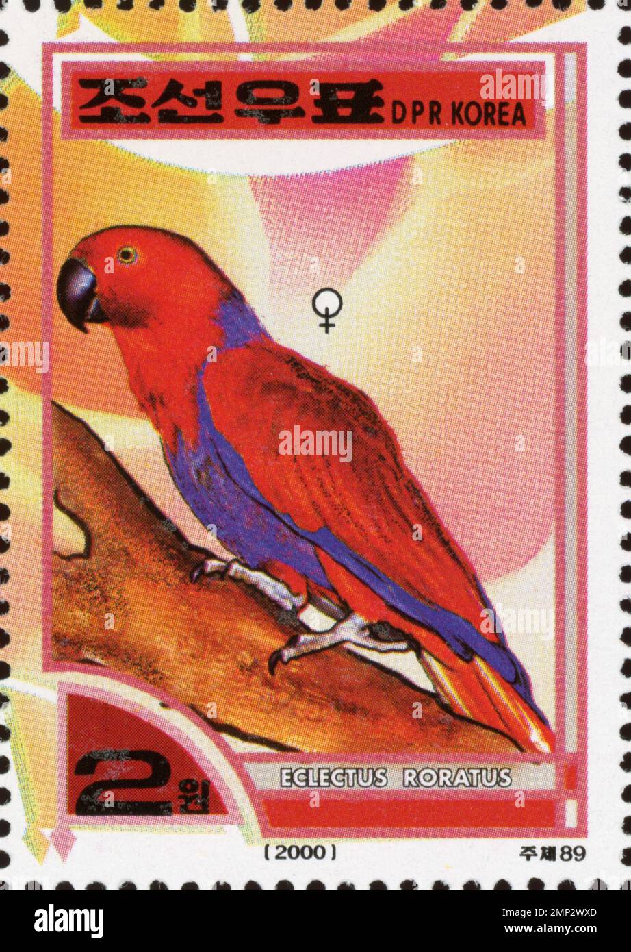Timbre-poste nord-coréen vintage de 2000 représentant une femelle Eclectus perroquet (Eclectus roratus) perchée sur une branche. Banque D'Images