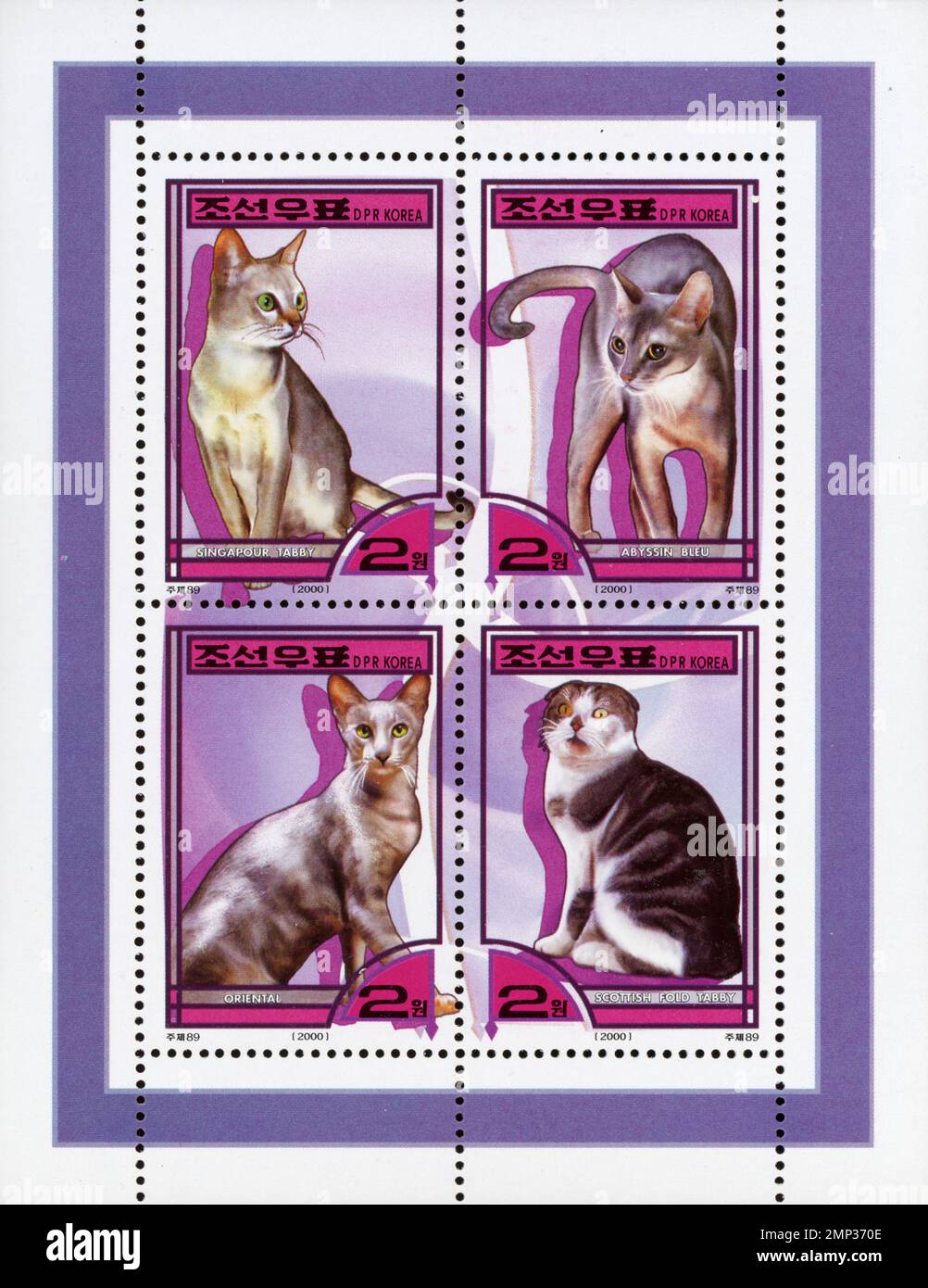 Feuille de 4 timbres-poste nord-coréens de 2000 représentant des races de chats : Singapour Tabby, Abyssin Bleu, Oriental et Scottish Fold Tabby. Banque D'Images