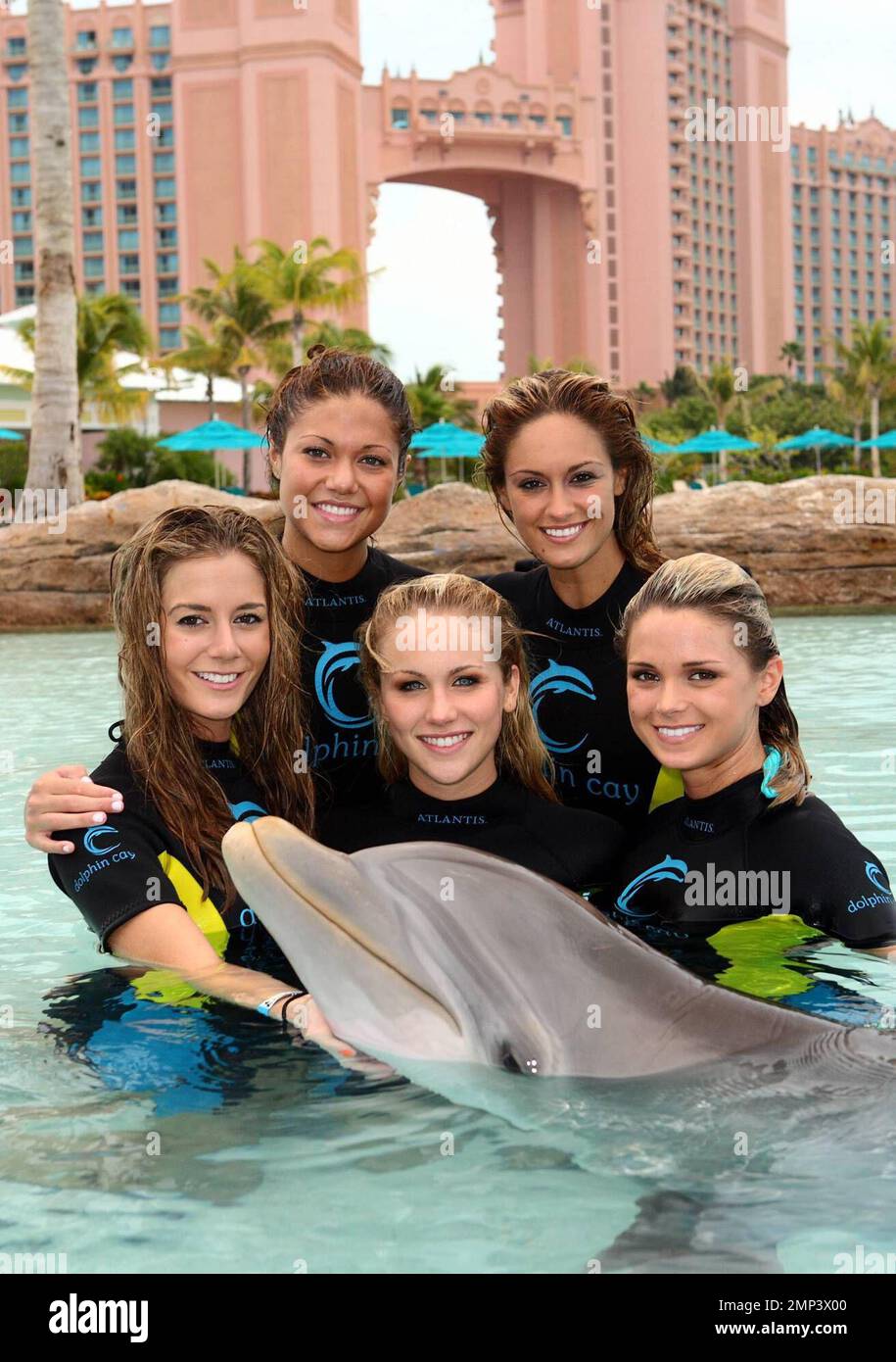 Exclusif !! L-R (avant) Miss Indiana Brittany Mason, Miss Missouri Candace Crawford, Miss Oklahoma Lindsey JO Harrington et (arrière) Miss Teen USA Hilary Cruz et Miss Pennsylvania Lauren Merola à Dolphin Cay à Atlantis, Paradise Island aux Bahamas 06/13/08. Banque D'Images