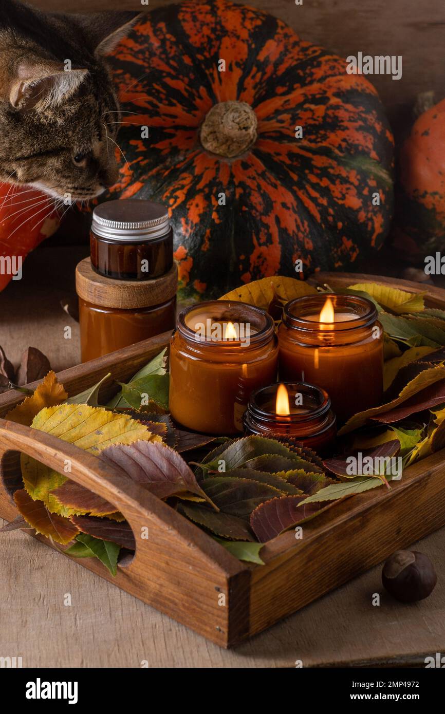 Les bougies de soja brûlent dans des pots en verre. Feuilles d'arbre, citrouille. Confort à la maison. Bougie dans un pot brun. Parfum et lumière. Bougie parfumée faite à la main. Aromathérapie. Ambiance d'automne. Décoration chaleureuse à l'automne. Banque D'Images