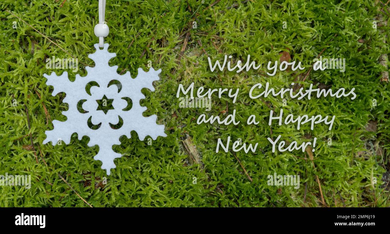 Je Te Souhaite Un Joyeux Noel En Anglais We wish you a merry christmas and happy new year Banque de photographies et  d'images à haute résolution - Alamy