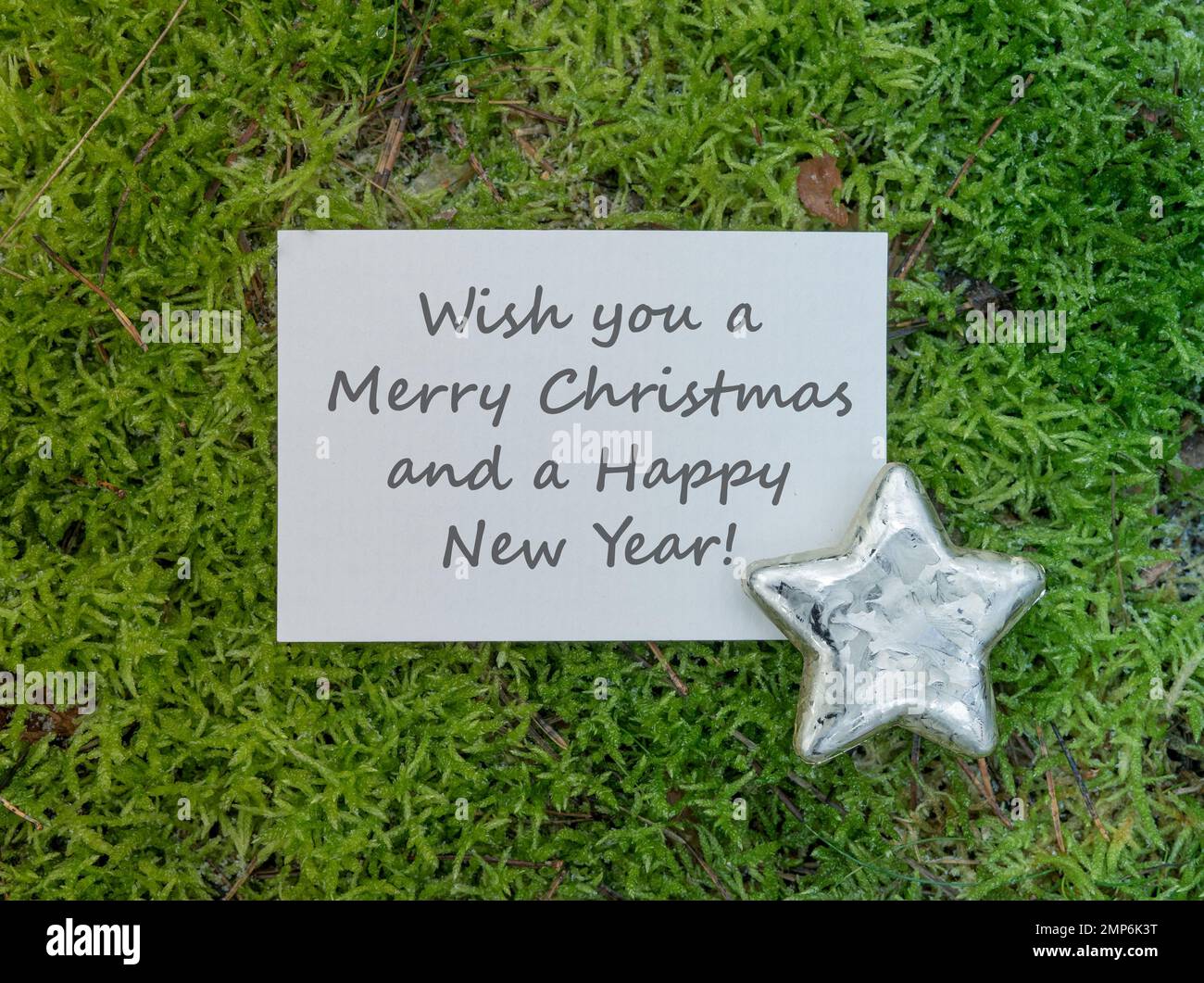 Je Te Souhaite Un Joyeux Noel En Anglais We wish you a merry christmas and happy new year Banque de photographies et  d'images à haute résolution - Alamy