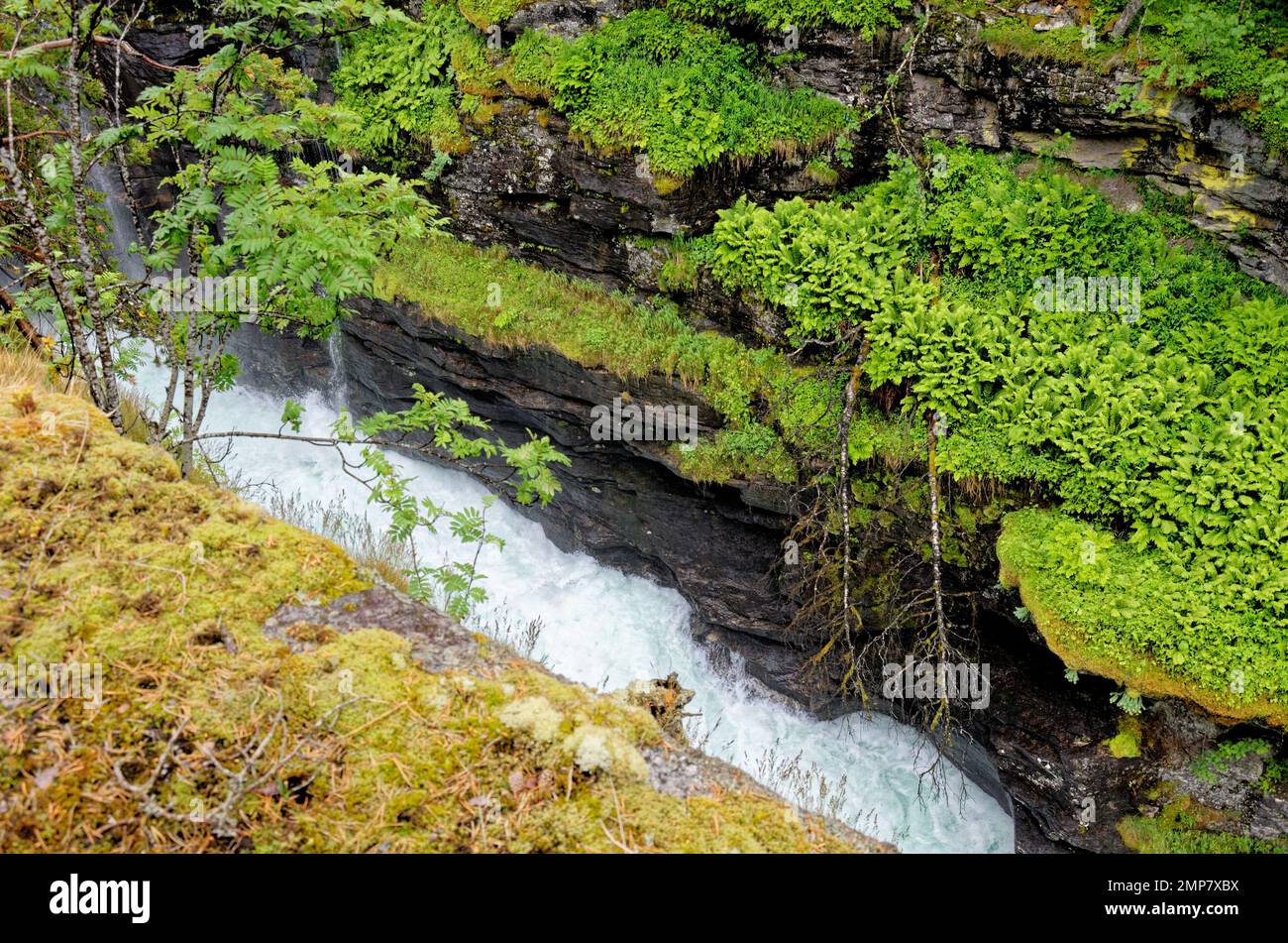 Destination voyage Norvège. Parc national de Jostedalsbreen - Waterfall - Europe destination voyage Norvège 12th de juin 2012 Banque D'Images