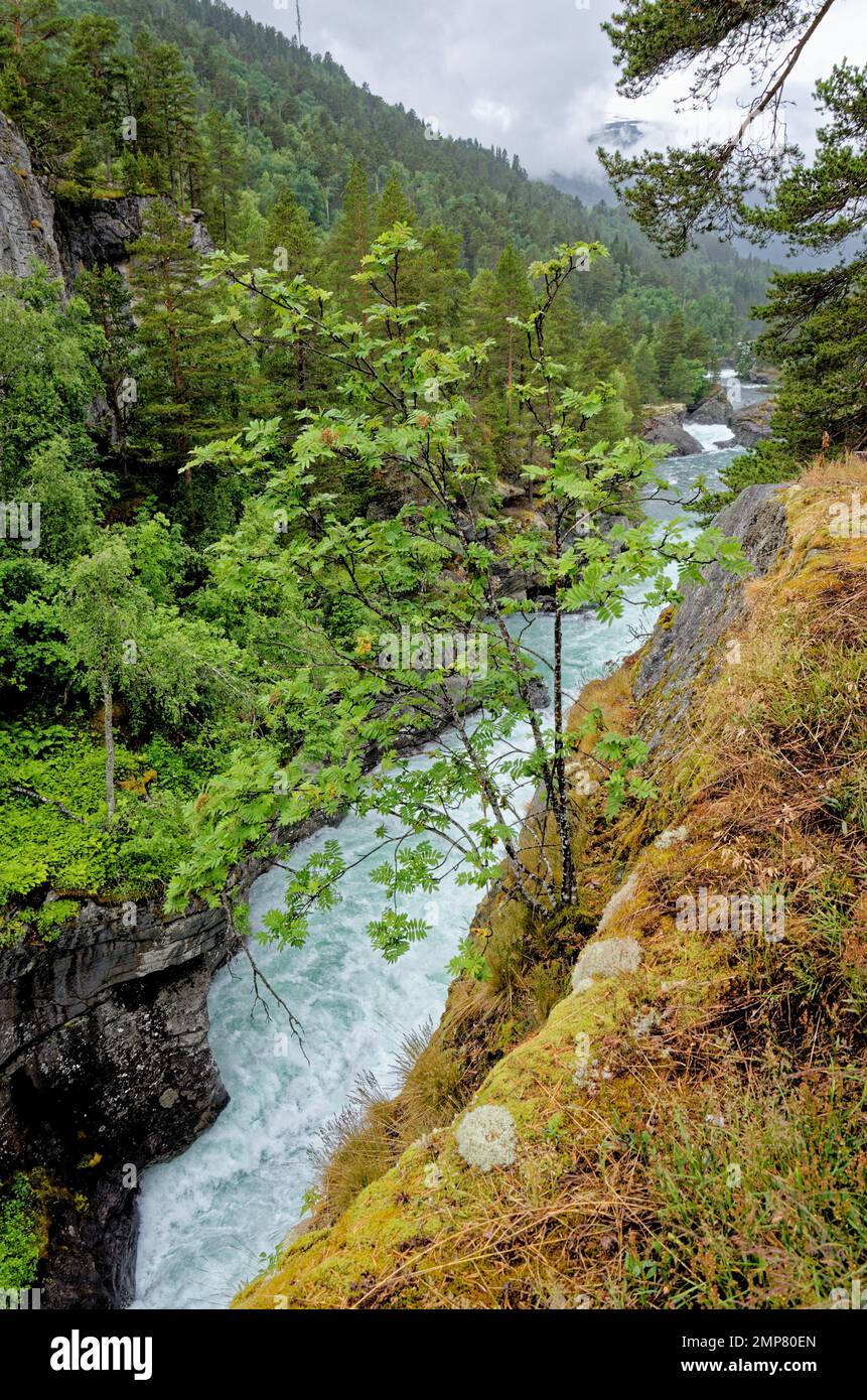 Destination voyage Norvège. Parc national de Jostedalsbreen - Waterfall - Europe destination voyage Norvège 12th de juin 2012 Banque D'Images