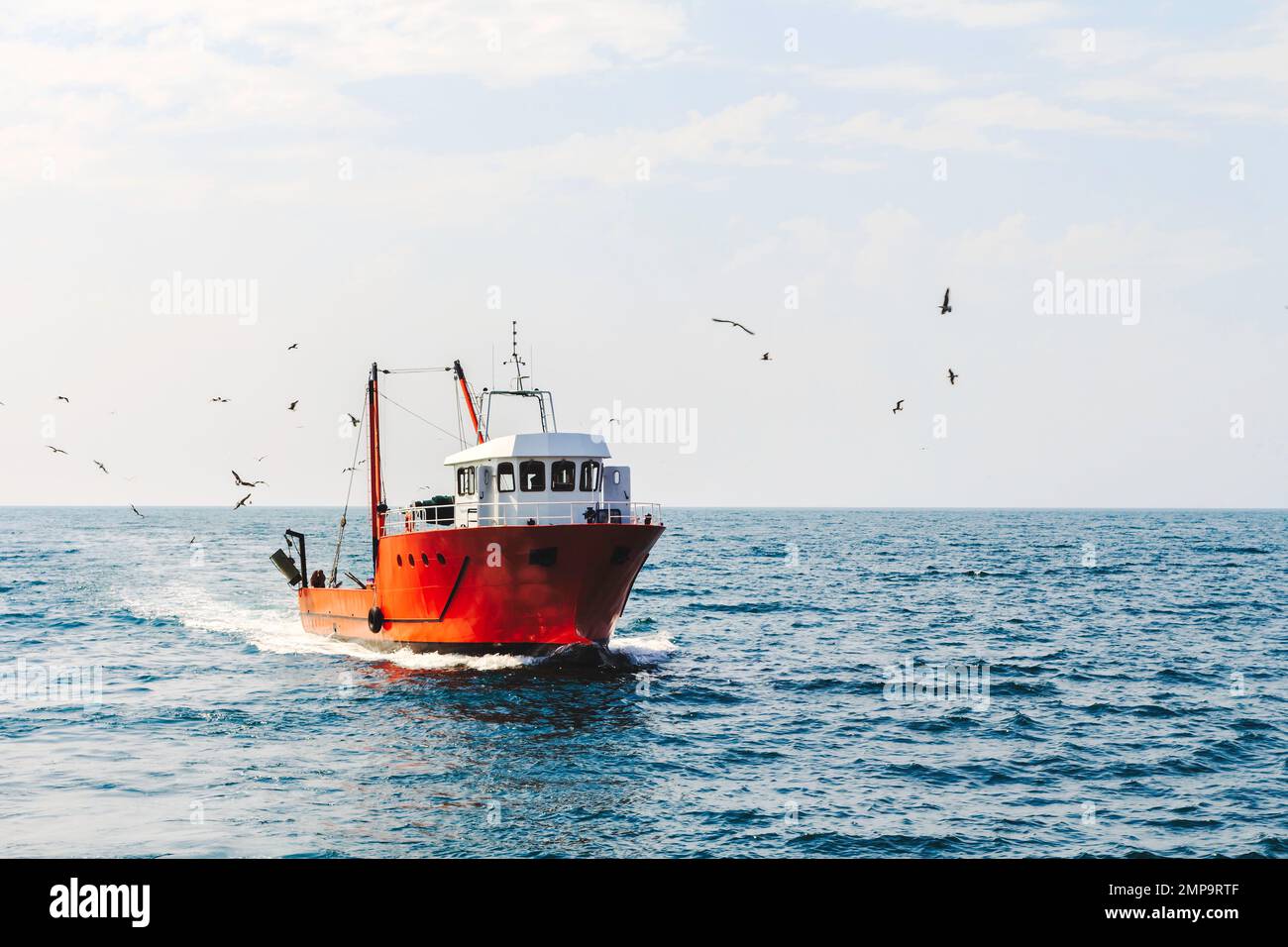 Un couteau bleu avec un troupeau de mouettes sur la mer du Nord au soleil avec des générateurs de vent en arrière-plan. Photo de haute qualité Banque D'Images