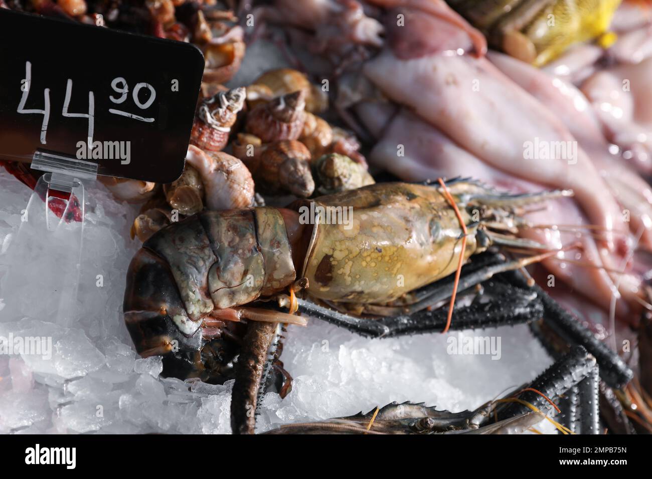 Crevettes malaisiennes d'eau douce et autres fruits de mer sur glace. Marché de gros Banque D'Images