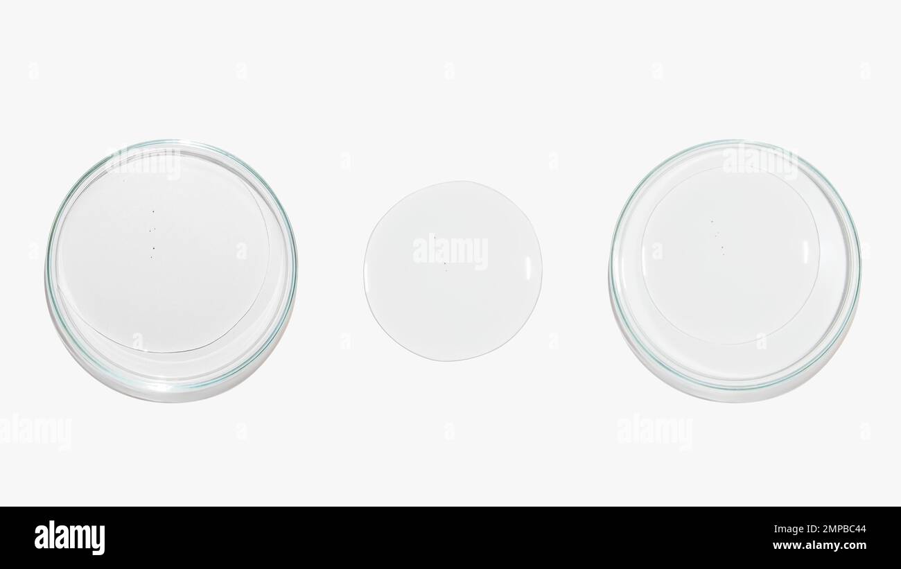 Boîtes de Pétri avec gel de couleur transparent sur fond clair. Verrerie. Liquide. Etude. Banque D'Images