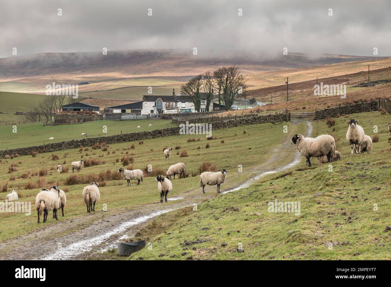 Soleil se brisant à travers les nuages créant un patchwork sur la colline à l'arrière-plan derrière Lingy Hill Farm, Harwood, Teesdale. Banque D'Images