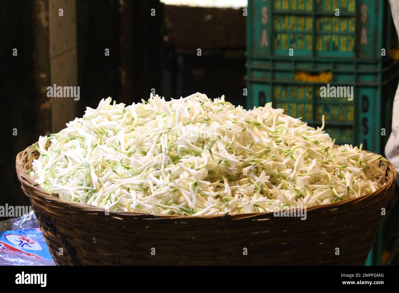Un magnifique panier de tuberoses indiens blancs brillants Banque D'Images