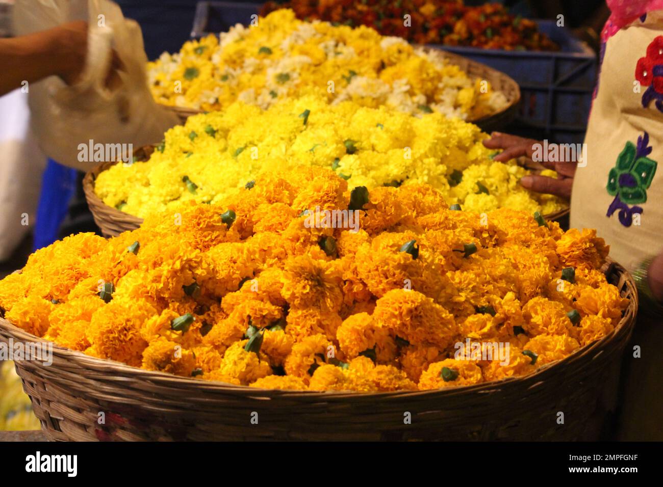 Paniers remplis de fleurs de marigold indien Banque D'Images