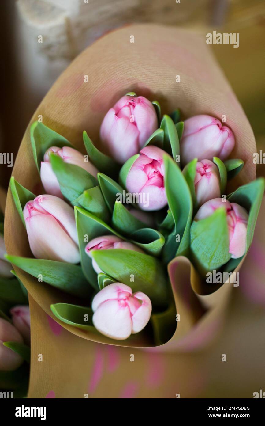 Vue abstraite d'un bouquet de tulipes enveloppées Banque D'Images