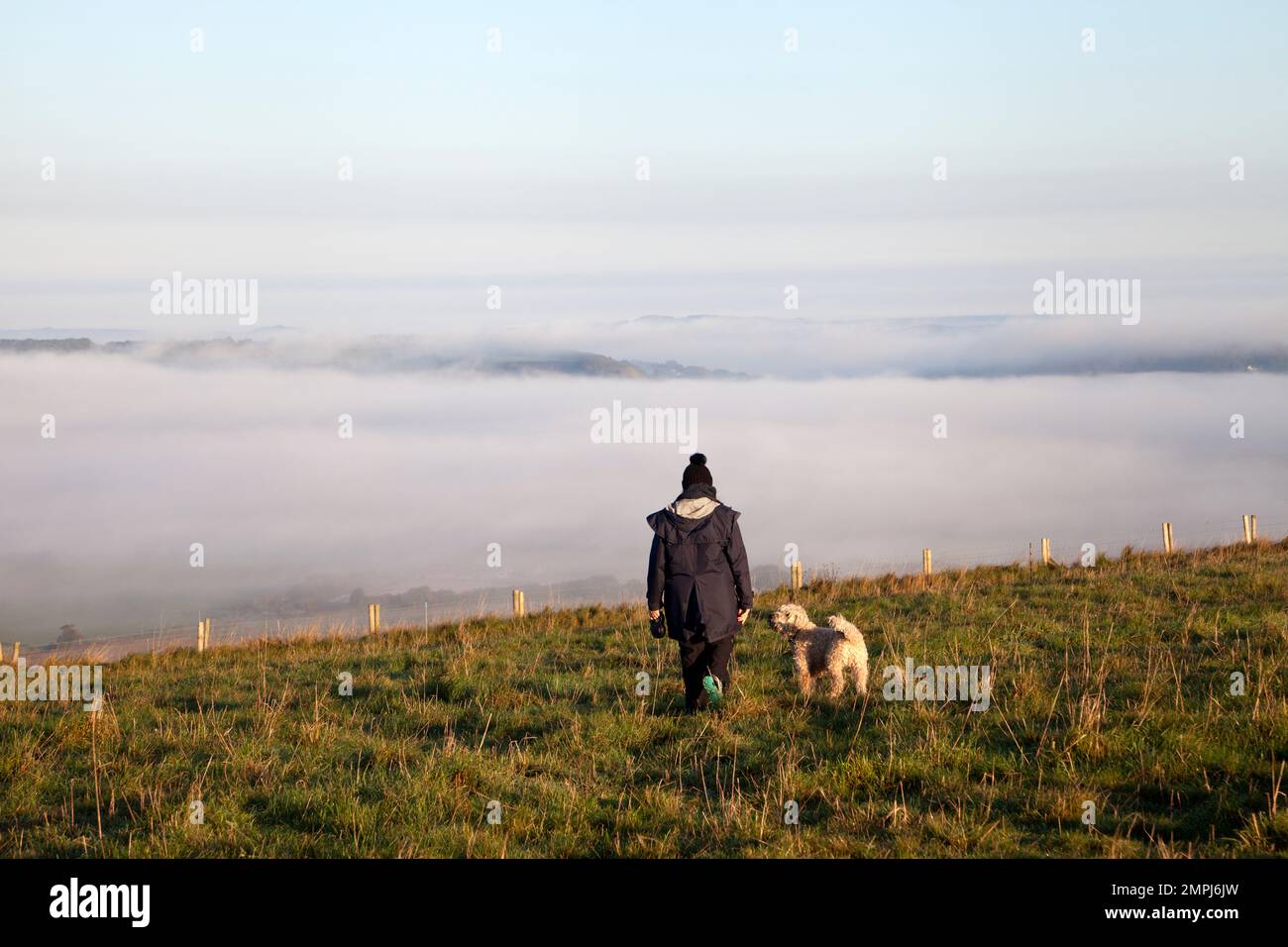 Un chien promenant sur Win Green Hill dans Wiltshire avec des couches de brume en dessous. Banque D'Images