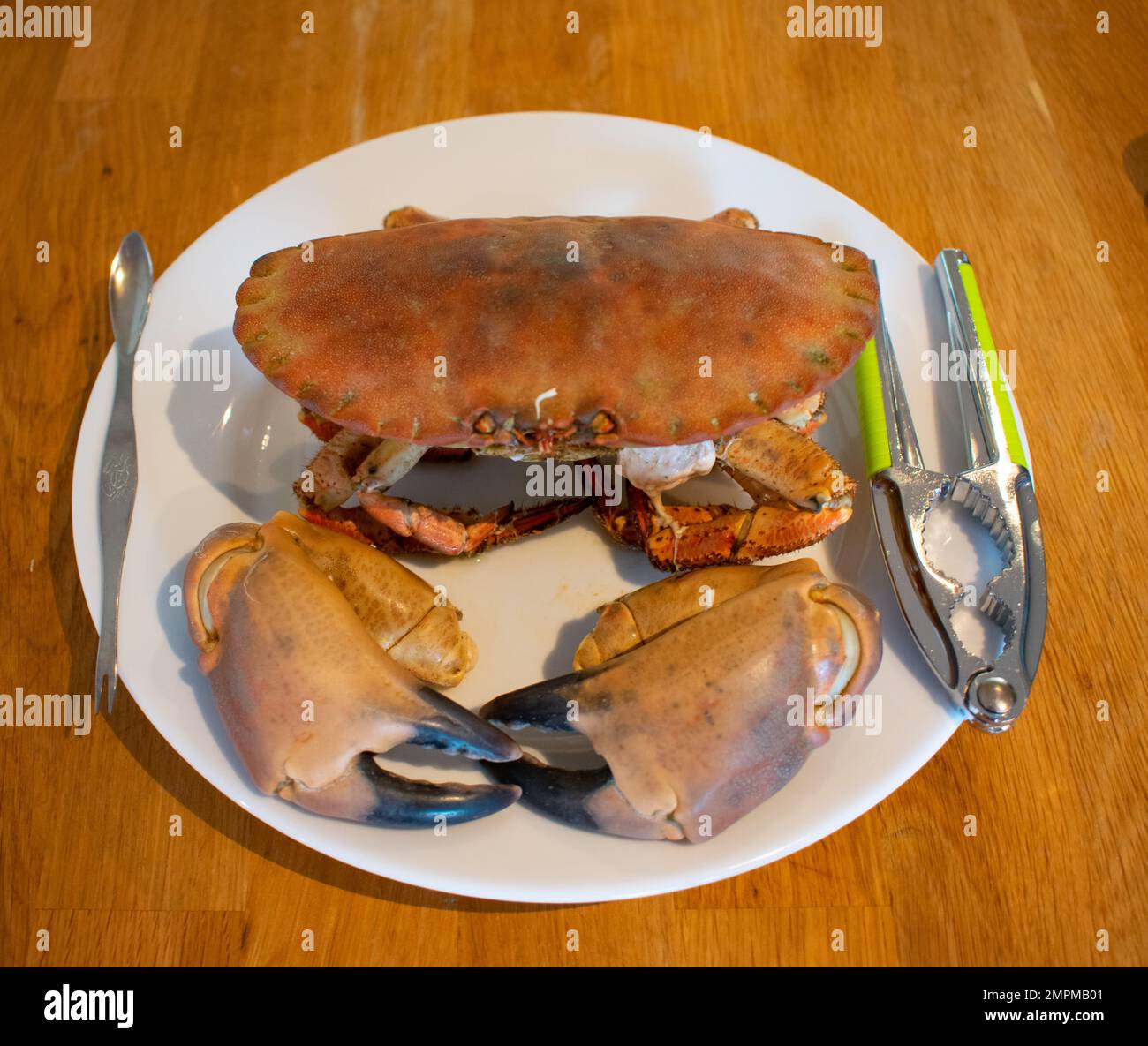Crabe entier cuit avec un ustensile de craqueur à griffe sur une assiette blanche Banque D'Images