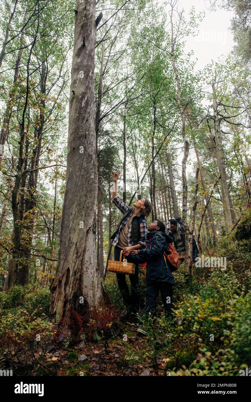 Mère montrant l'arbre à son fils tout en explorant la forêt pendant les vacances Banque D'Images