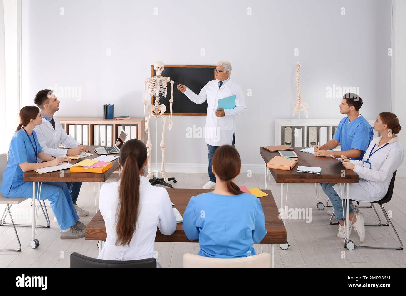 Étudiants en médecine et professeur étudiant l'anatomie du squelette — free download
