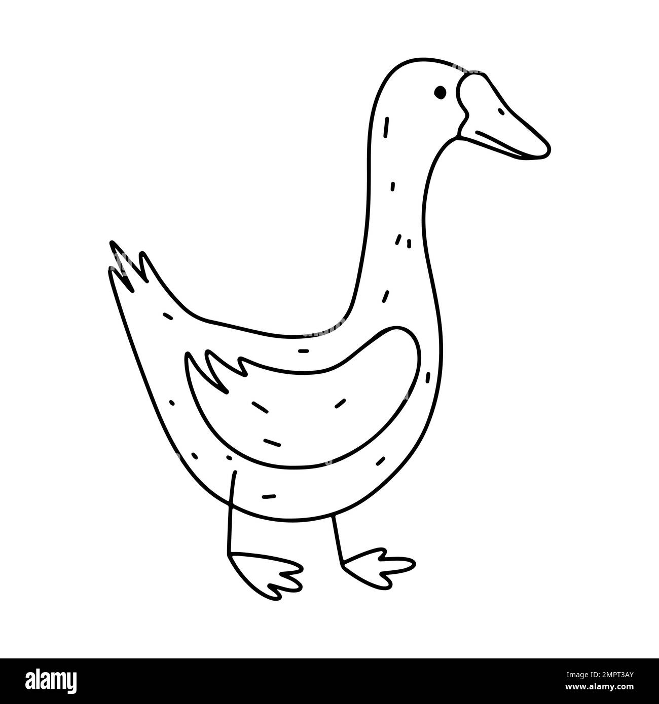 Volaille d'oie en forme de doodle dessiné à la main. Oiseau domestique mignon. Illustration vectorielle isolée sur fond blanc Illustration de Vecteur