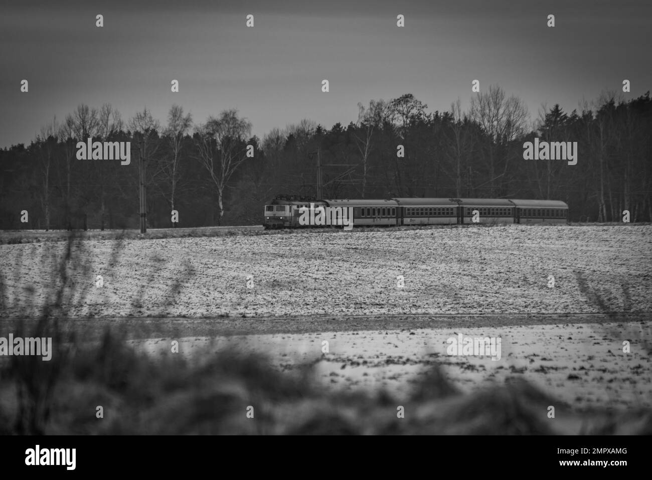 Train électrique passager dans givré nuageux hiver matin près de la gare Donov 01 30 2023 Banque D'Images