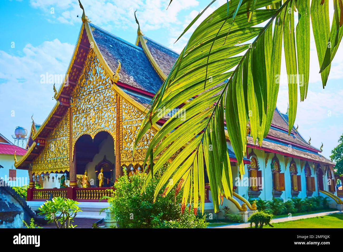 Le magnifique bâtiment historique du grand temple viharn de Wat Chiang Man, derrière la feuille de palmier verte, Chiang Mai, Thaïlande Banque D'Images