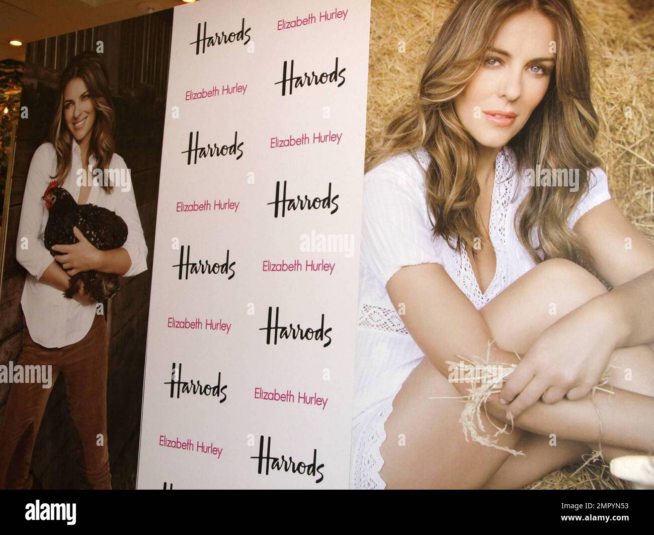 Elizabeth Hurley s'est associée à la compagnie alimentaire du Prince Charles, duché Originals, pour créer une gamme de produits biologiques que le modèle a transformé l'actrice a lancé aujourd'hui à Harrods. Hurley, qui conçoit également des maillots de bain, possède une ferme de 400 hectares de Gloucestershire et pose à côté de photos d'elle-même tenant un poulet. Le lancement comprenait des snack-bars et des jerkey de bœuf. Londres, Royaume-Uni. 11/3/09. Banque D'Images