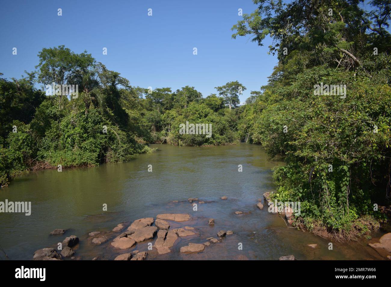 Calme rivière Iguazu Banque D'Images