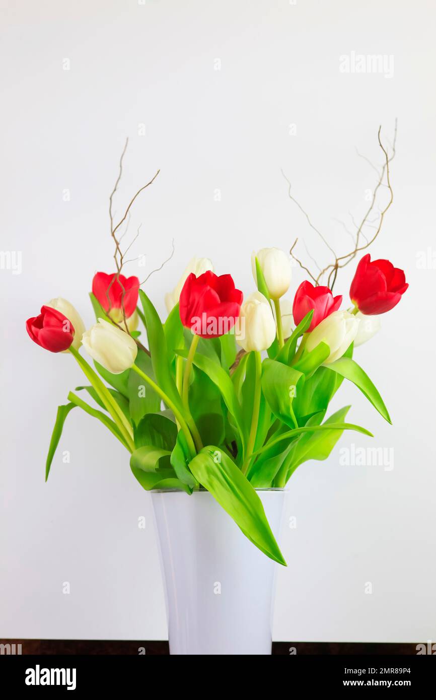 Bouquet de tulipes, Dresde, Saxe Banque D'Images