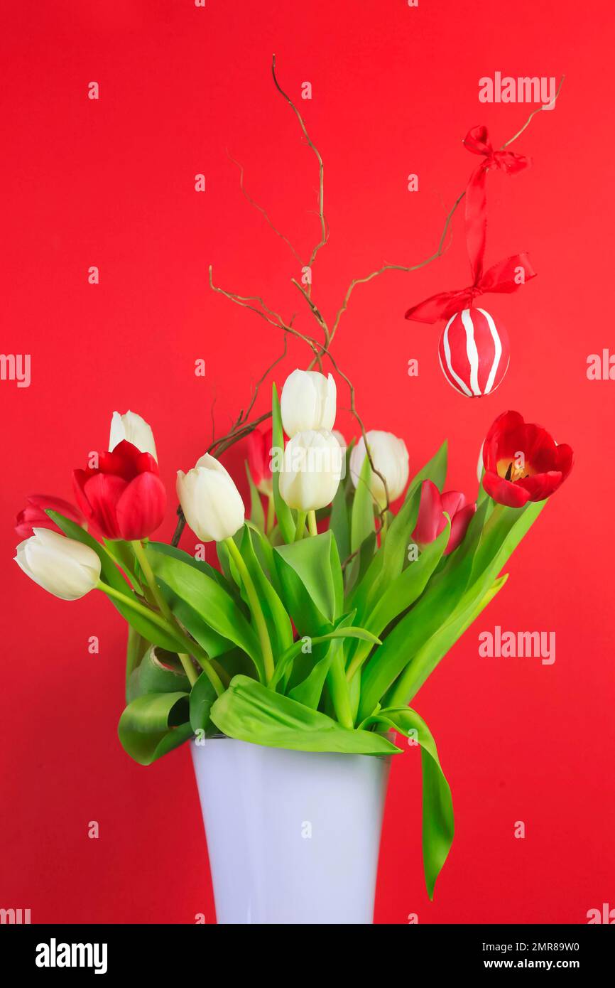 Bouquet de tulipes avec oeuf de Pâques, Dresde, Saxe Banque D'Images