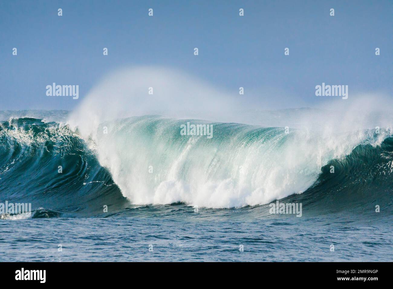 Grande vague se brisant dans la mer ouverte au large de la côte sud de l'Angleterre, comté de Dorset près de West Lulworth Banque D'Images