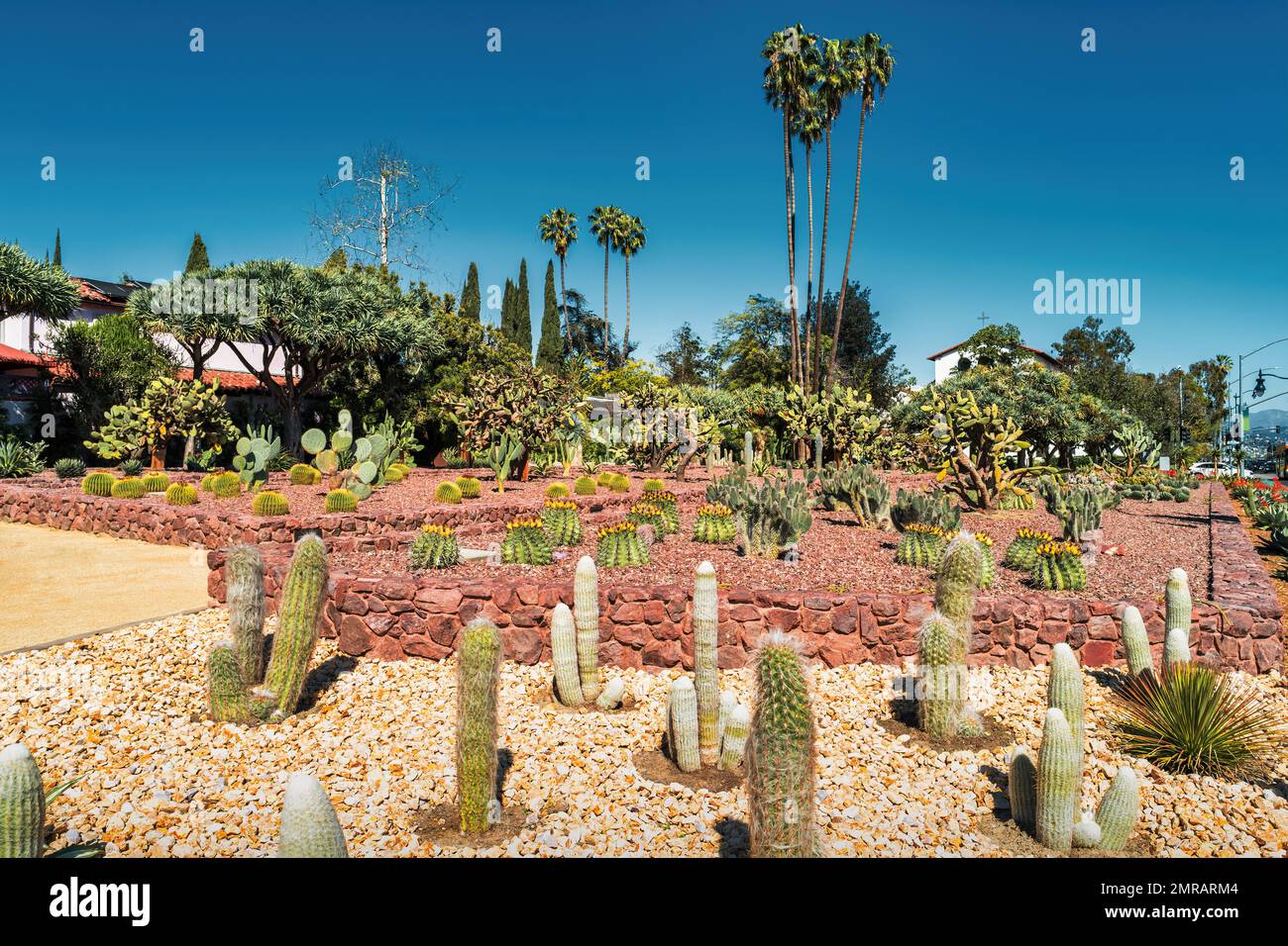 Parc public historique de Cactus Garden à Beverly Gardens Park à Beverly Hills, Californie, États-Unis. Banque D'Images
