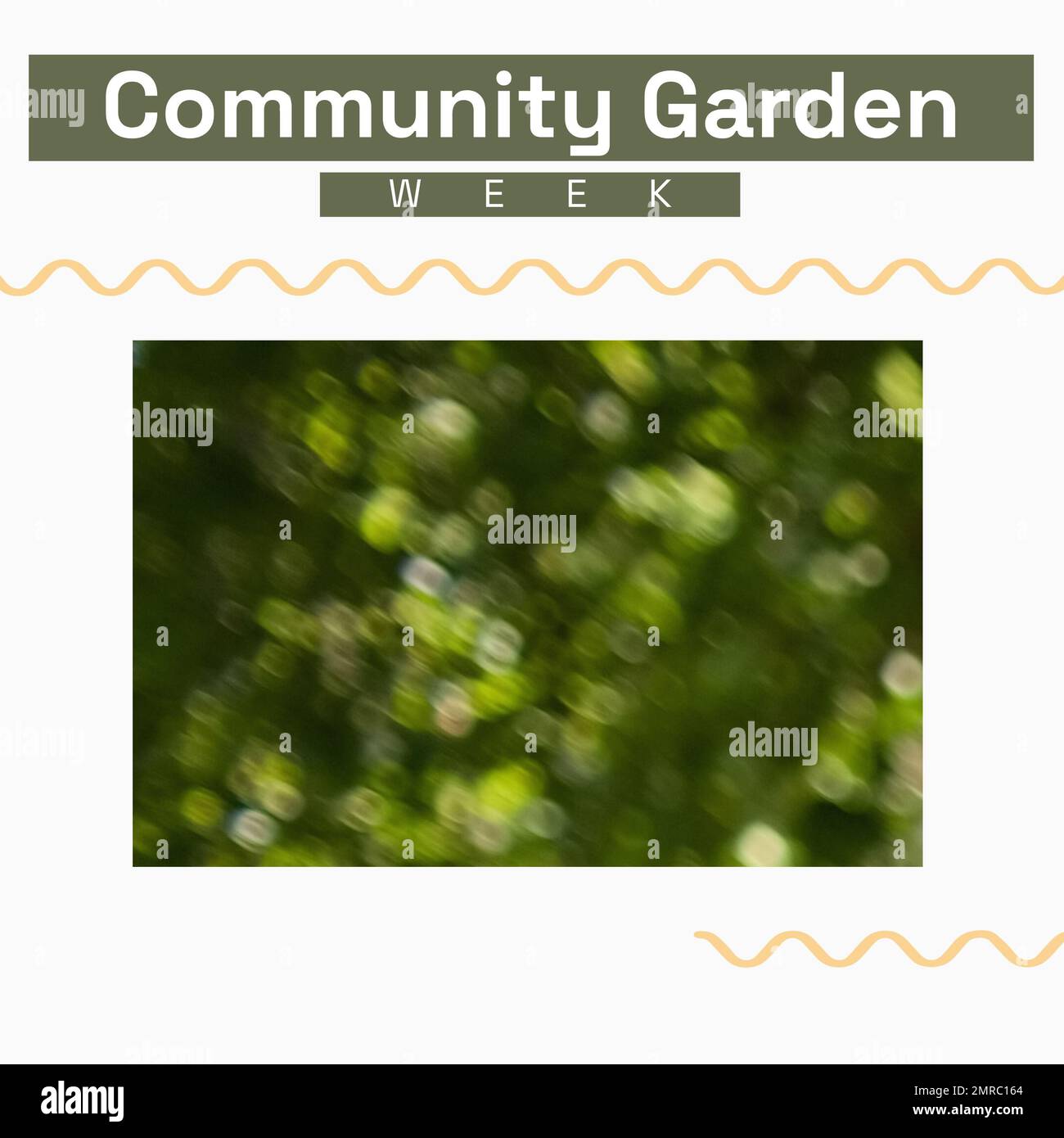 Composition du texte de la semaine du jardin communautaire et de l'espace de copie sur le fond des plantes Banque D'Images