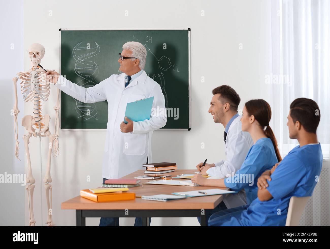 Étudiants en médecine et professeur étudiant l'anatomie du squelette — free download