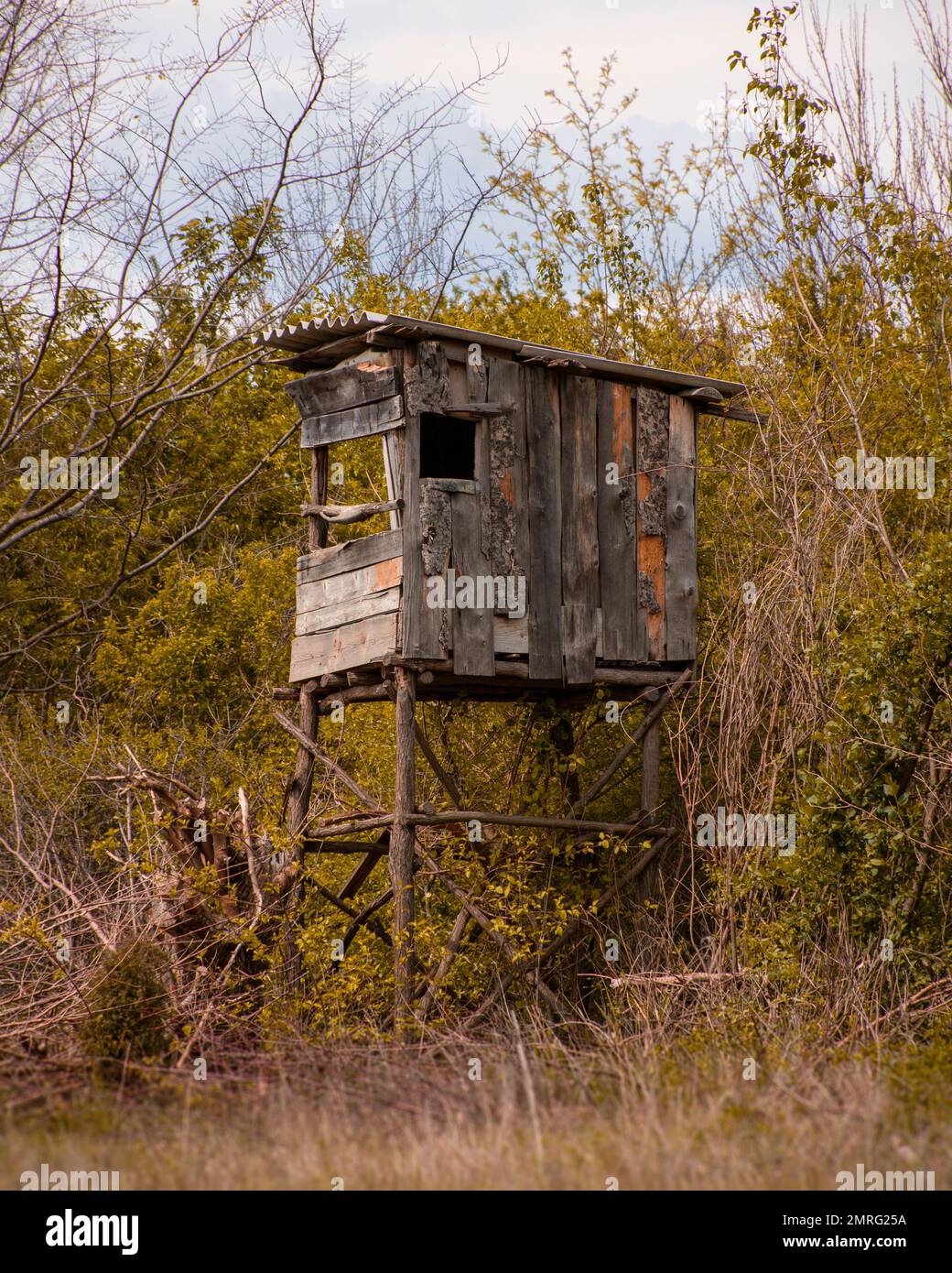 Un cliché vertical d'une ancienne tour en bois pour les chasseurs de la forêt d'automne Banque D'Images