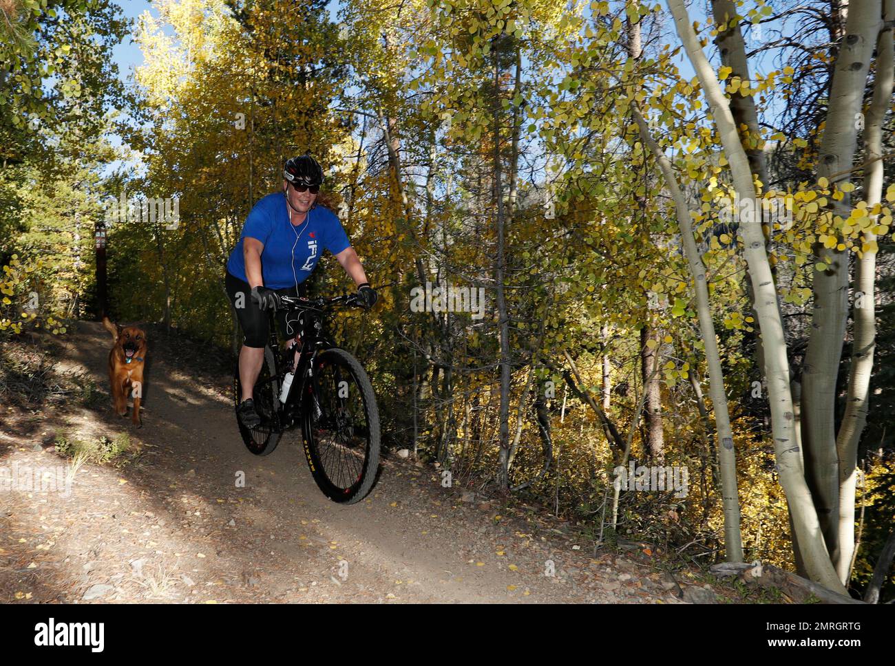 A mountain bicyclist and her dog glide down the trail through French Gulch, which is located in one of the most fertile mining areas in the state, Tuesday, Sept. 19, 2017, near Breckenridge, Colo. Fall colors have turned the mountainsides in central Colorado as autumn nears. (AP Photo/David Zalubowski) Banque D'Images