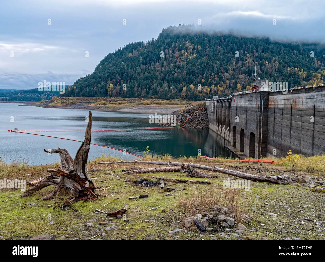 Driftwood enligne la rive du réservoir au barrage de Lookout point lors d'une journée brumeuse près de Lowell, en Oregon, aux États-Unis Banque D'Images