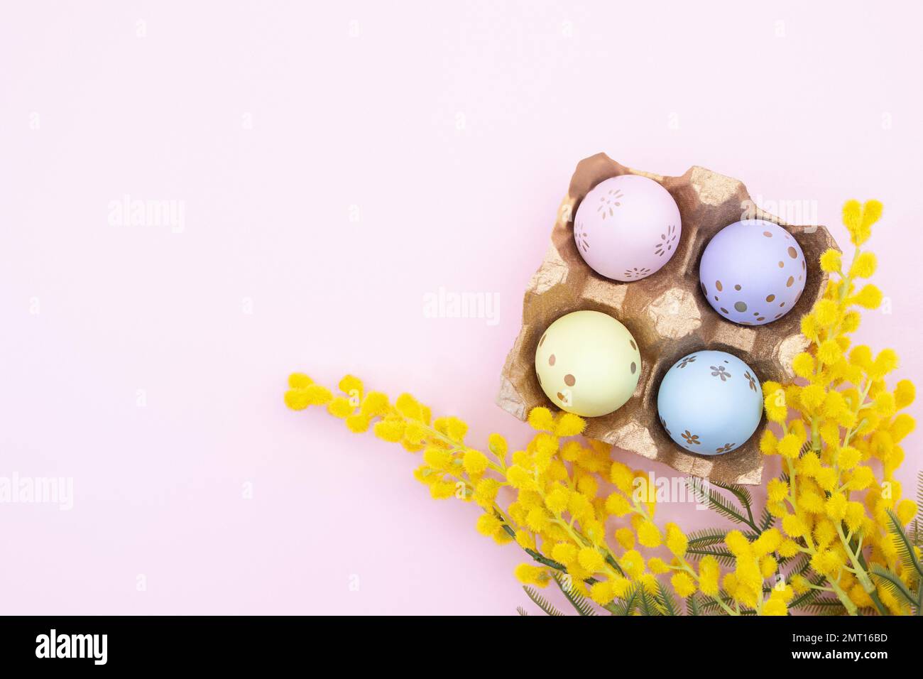 Œufs multicolores peints avec branche de mimosa sur fond rose. Vue de dessus. Pâques. Copier l'espace Banque D'Images