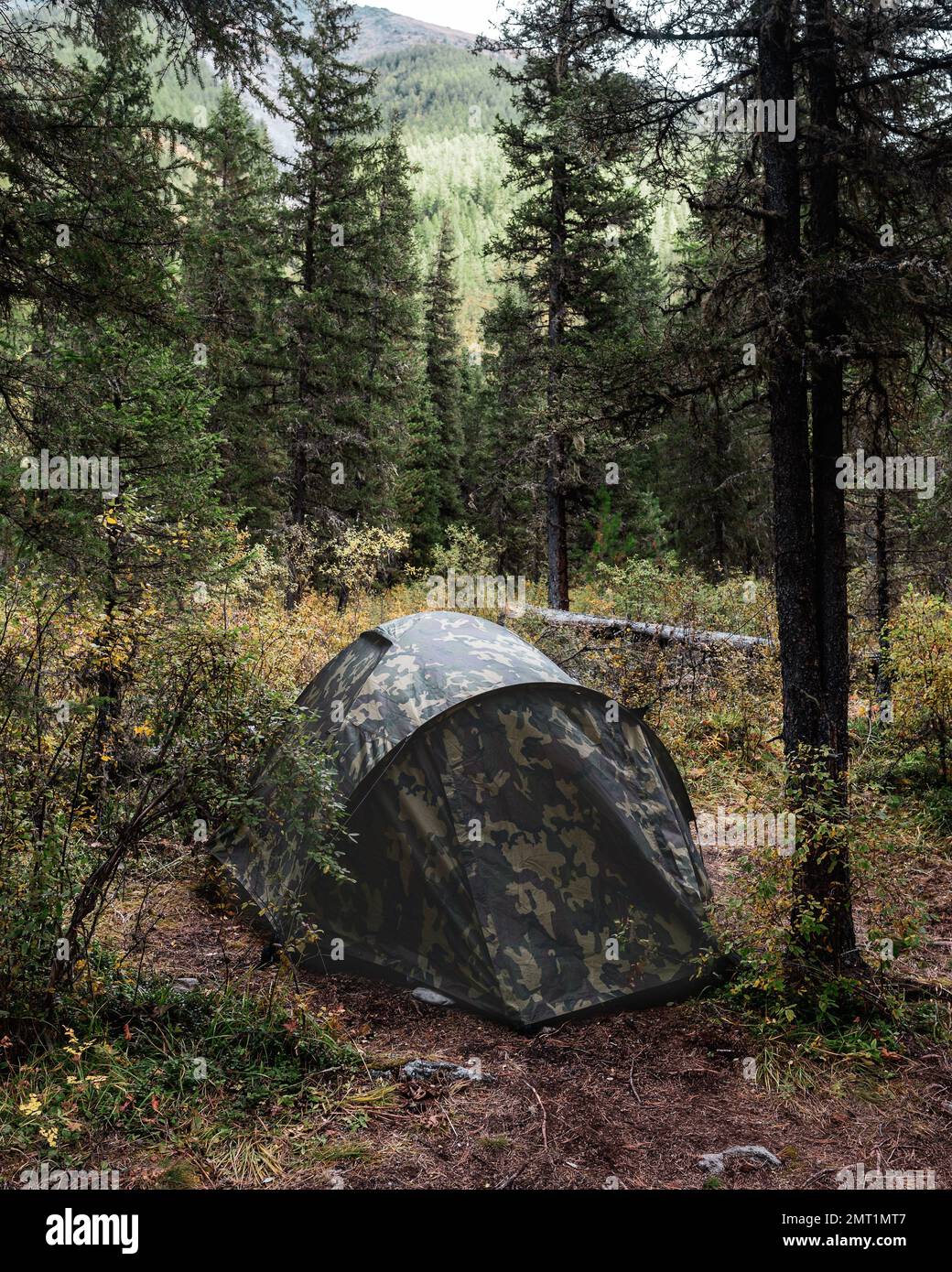 Une tente de camouflage vert se dresse dans la forêt parmi les arbres après la pluie derrière la montagne. Banque D'Images