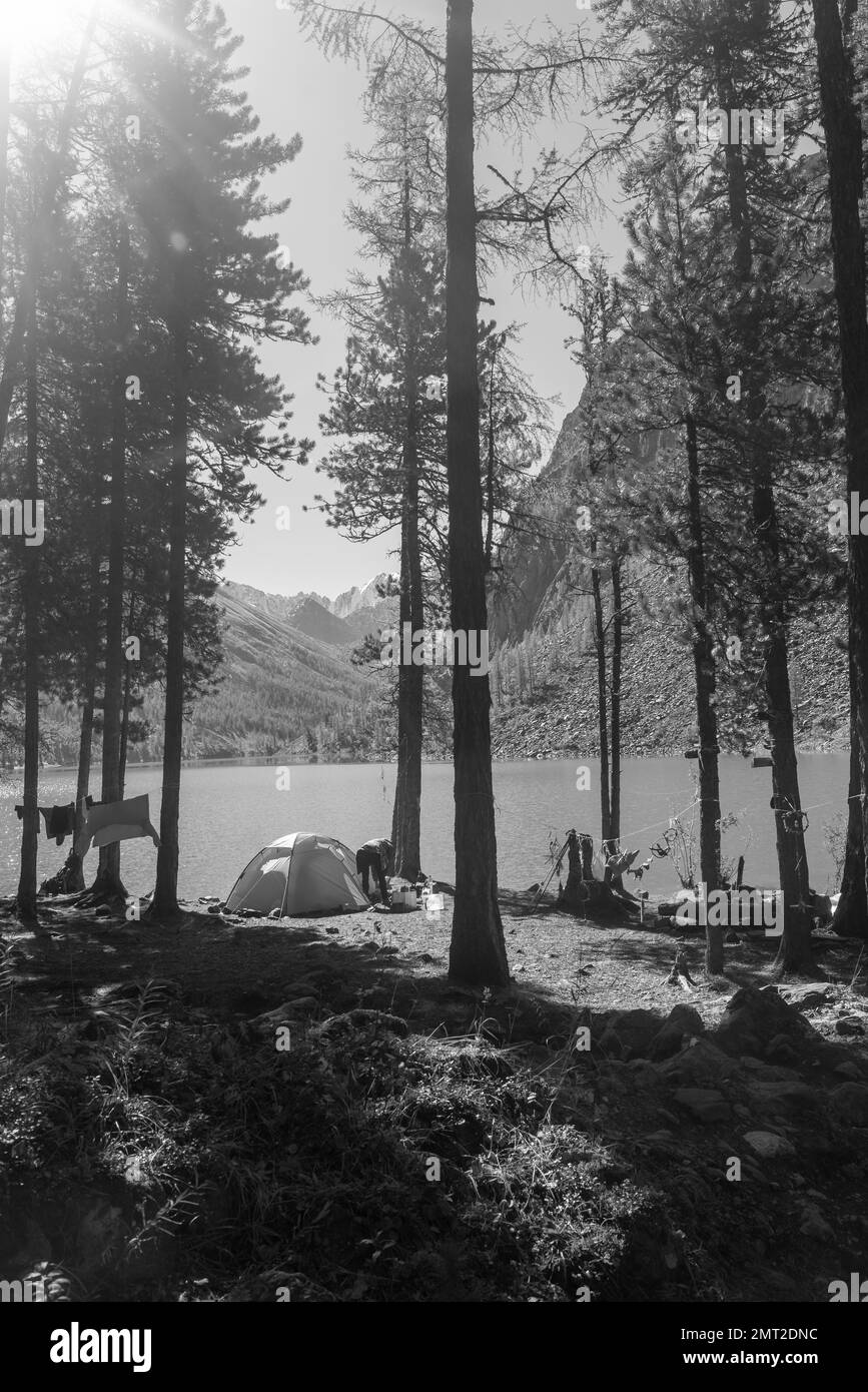 Une photo en noir et blanc d'une tente touristique dans la forêt sur la rive du lac alpin Shavlinskoe avec des vêtements touristiques séchant sur une corde Banque D'Images