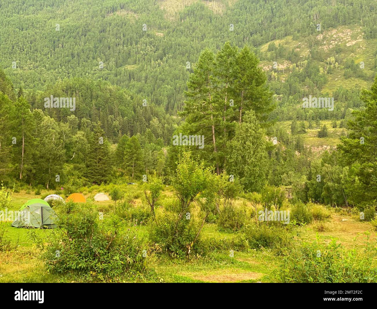 Des tentes touristiques se trouvent dans l'herbe de la forêt sur le fond de la montagne. Banque D'Images