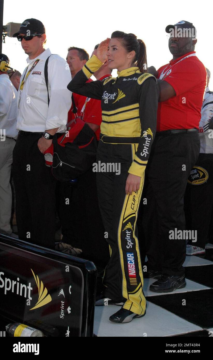 Monica Palumbo, Miss Sprint Cup à la PEP Boys Auto 500 au circuit automobile d'Atlanta à Atlanta, en Géorgie. 10/26/08. . Banque D'Images