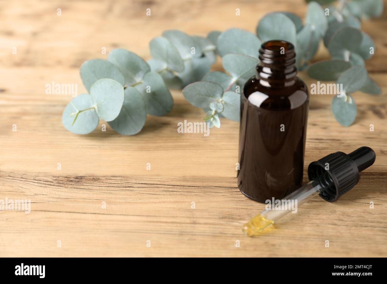 Bouteille d'huile essentielle et d'eucalyptus sur une table en bois Banque D'Images