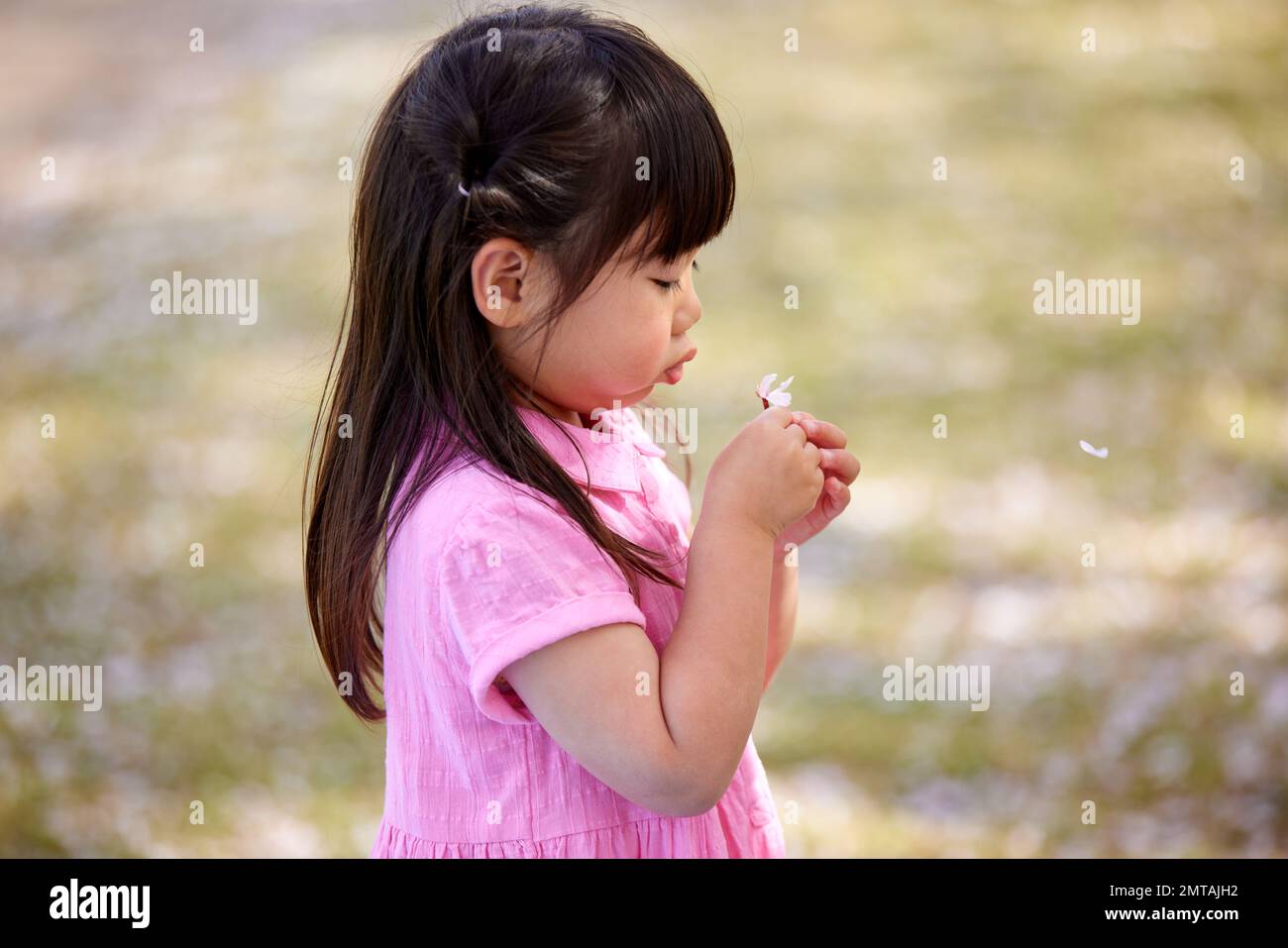Portrait d'enfant japonais avec fleurs de cerisiers en fleurs Banque D'Images