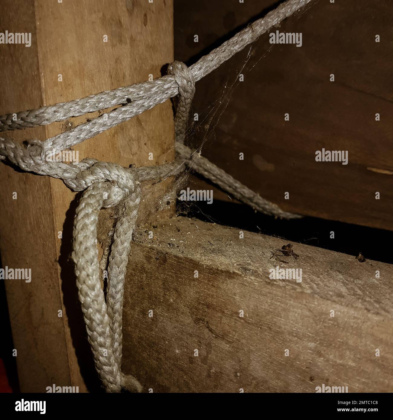 Un gros plan d'une toile d'araignée sur un vieux mobilier en bois attaché avec une corde Banque D'Images