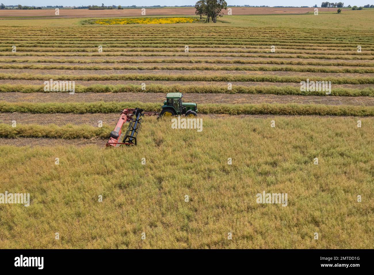 Un cliché captivant d'une moissonneuse-batteuse travaillant sur une exploitation agricole Banque D'Images