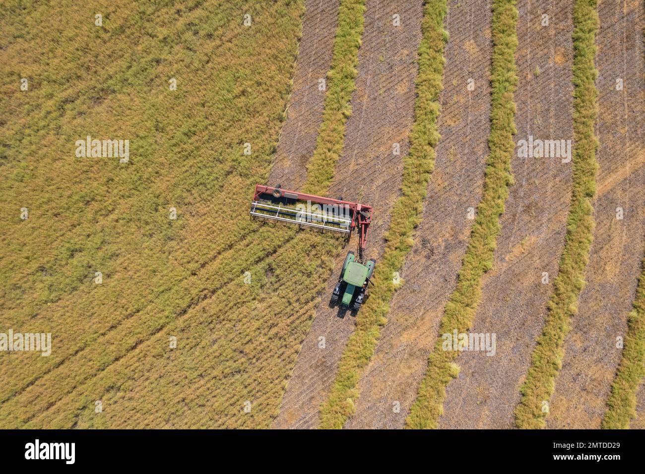 Vue de dessus d'une moissonneuse-batteuse travaillant sur une exploitation agricole Banque D'Images