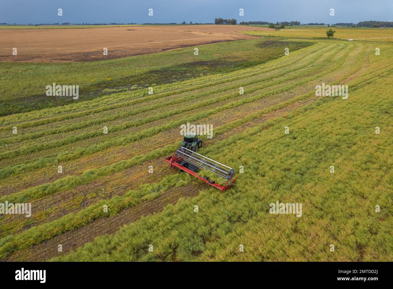 Une belle photo d'une moissonneuse-batteuse travaillant sur une ferme agricole Banque D'Images