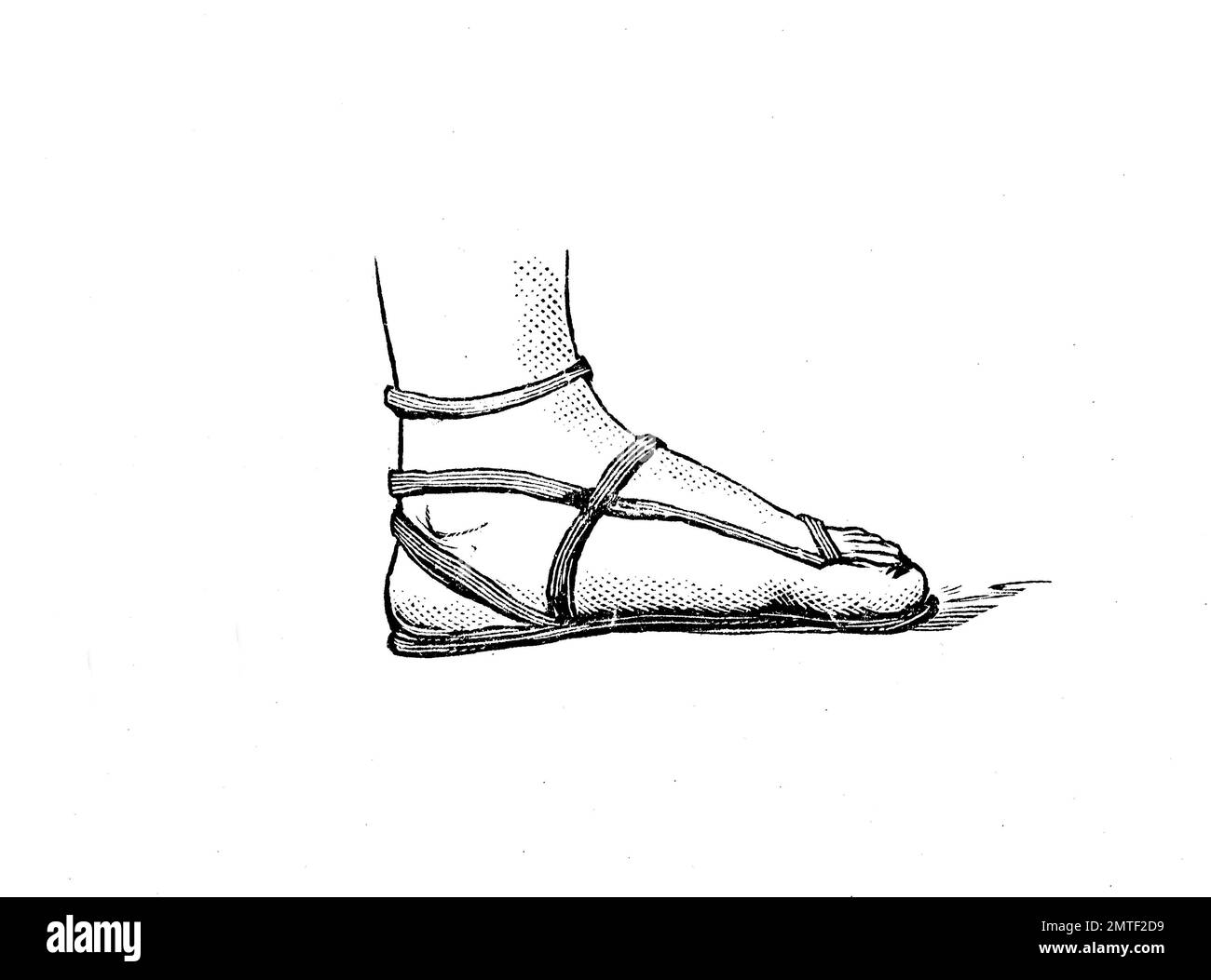 Shoe fashion du passé, d'une sandale grecque ancienne, chaussure, Grèce, gravure sur bois de l'année 1880 Banque D'Images